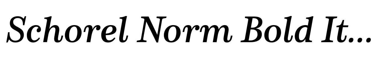 Schorel Norm Bold Italic